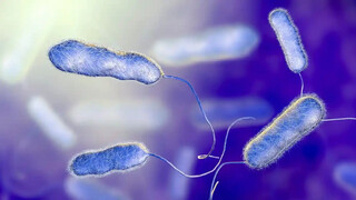 Legionella Risk Assessment London